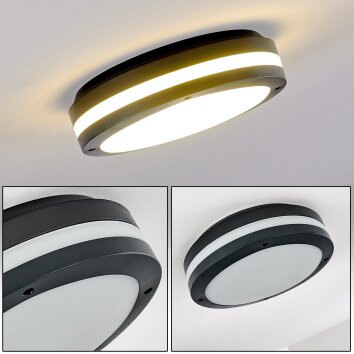 Wollongong Buitenshuis plafond verlichting LED Antraciet, 1-licht