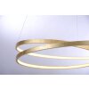 Paul Neuhaus ROMAN Hanglamp LED Goud, 1-licht