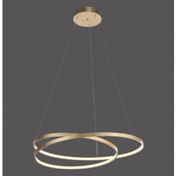 Paul Neuhaus ROMAN Hanglamp LED Goud, 1-licht