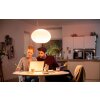 Philips Hue Ambiance White & Color Flourish Hanglamp LED Wit, 1-licht, Kleurwisselaar