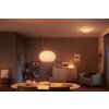 Philips Hue Ambiance White & Color Flourish Hanglamp LED Wit, 1-licht, Kleurwisselaar