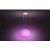 Philips Hue Ambiance White & Color Flourish Hanglamp LED Wit, 1-licht, Kleurwisselaar