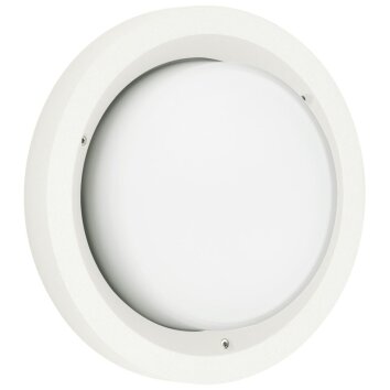 Albert 6410 Buitenshuis plafond verlichting LED Wit, 1-licht