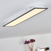 Salmi Plafondlamp LED Zwart, Wit, 1-licht