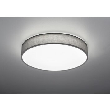 Trio Lugano Plafondlamp LED Grijs, 1-licht, Afstandsbediening