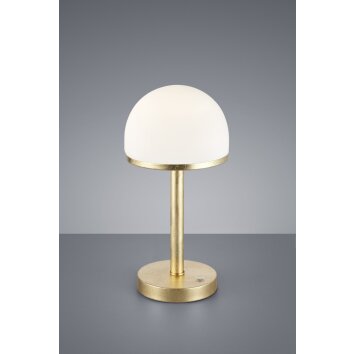 Trio Berlin Tafellamp LED Goud, 1-licht