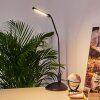 Winnipeg Klemlamp LED Zwart, 1-licht