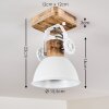 Orny Plafondlamp Wit, 1-licht