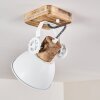 Orny Plafondlamp Wit, 1-licht