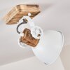 Orny Plafondlamp Wit, 1-licht