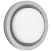 Albert 6410 Buitenshuis plafond verlichting LED Zilver, 1-licht