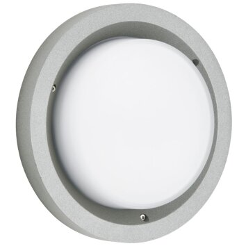 Albert 6410 Buitenshuis plafond verlichting LED Zilver, 1-licht