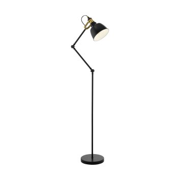 Eglo THORNFORD Staande lamp Gebrandschilderd, Zwart, 1-licht