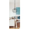 Eglo COTTINGHAM Hanger Zwart, 1-licht