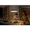 Philips Hue Ambiance White Amaze Hanglamp LED Zwart, 1-licht, Afstandsbediening