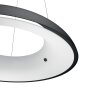 Philips Hue Ambiance White Amaze Hanglamp LED Zwart, 1-licht, Afstandsbediening