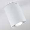 Quimper Plafondlamp Wit, 1-licht