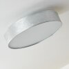 Victoria Plafondlamp LED Wit, 1-licht