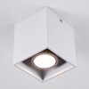 Awuna Plafondlamp Wit, 1-licht