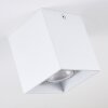 Awuna Plafondlamp Wit, 1-licht