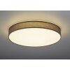 Trio Lugano Plafondlamp LED Grijs, 1-licht, Afstandsbediening