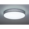 Trio Lugano Plafondlamp LED Grijs, 1-licht, Afstandsbediening