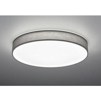 Trio Lugano Plafondlamp LED Grijs, 1-licht, Afstandsbediening