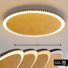 Aitrach Plafondlamp LED Goud, 1-licht