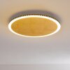 Aitrach Plafondlamp LED Goud, 1-licht