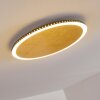 Aitrach Plafondlamp LED Goud, 1-licht