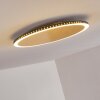 Aitrach Plafondlamp LED Goud, 1-licht