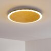 Aitrach Plafondlamp LED Goud, 1-licht