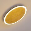 Aitrach Plafondlamp LED Goud, 1-licht