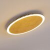 Aitrach Plafondlamp LED Goud, 1-licht