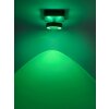 Paul Neuhaus Q-MIA Plafondlamp LED Antraciet, 1-licht, Afstandsbediening