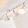 Polmak Plafondlamp Goud, Wit, 4-lichts