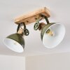 Orny Plafondlamp Groen, 2-lichts