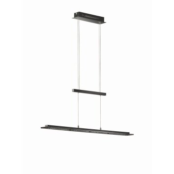 Fischer & Honsel living Tenso TW Hanglamp LED Glas, 1-licht