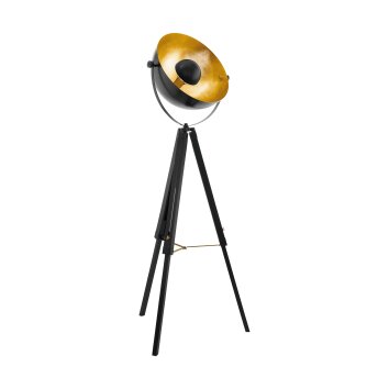 Eglo COVALEDA Staande lamp Goud, Messing, Zwart, 1-licht