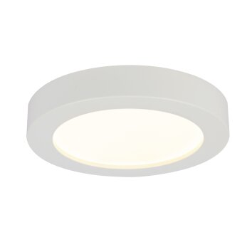 Globo PAULA Plafondlamp LED Glas, 1-licht