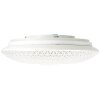 Brilliant Lucian Plafondlamp LED Wit, 1-licht, Afstandsbediening, Kleurwisselaar