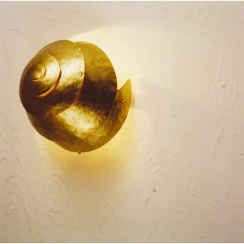 Holländer SNAIL ONE Muurlamp Goud, 1-licht