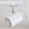 Chennai Plafondlamp LED Chroom, Wit, 2-lichts