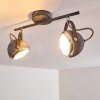 Foverup Plafondlamp Chroom, Grijs, 2-lichts