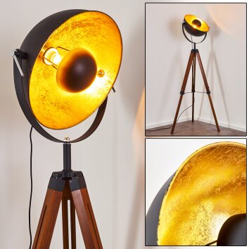 Jupiter Staande lamp Hout donker, 1-licht