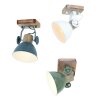 Steinhauer Gearwood Spotlamp Groen, 1-licht