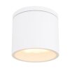 Globo ALCALA Buitenshuis plafond verlichting Wit, 1-licht