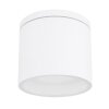 Globo ALCALA Buitenshuis plafond verlichting Wit, 1-licht