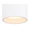 Globo ALCALA Buitenshuis plafond verlichting Wit, 1-licht