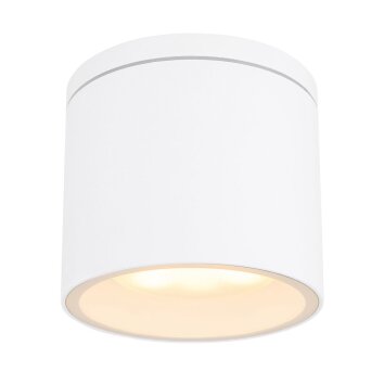 Globo ALCALA Buitenshuis plafond verlichting Wit, 1-licht